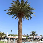 Apartmán Marlenghi 70 Maspalomas (Gran Canaria)
