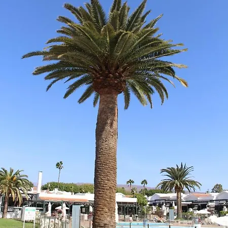 Apartment Marlenghi 70 Maspalomas (Gran Canaria)
