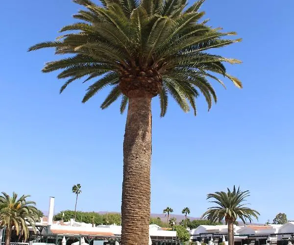 Апартаменты Marlenghi 70 Маспаломас